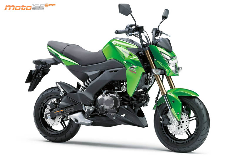 Kawasaki Z125 Pro