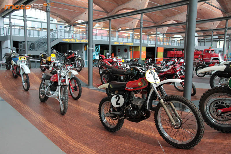 Viva Montesa
