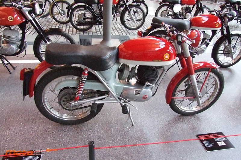 Viva Montesa