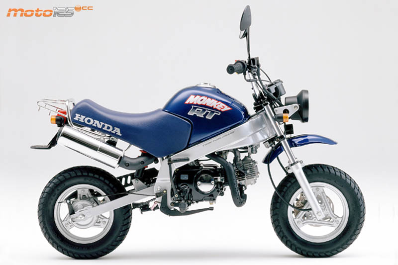 honda monkey vs msx 125