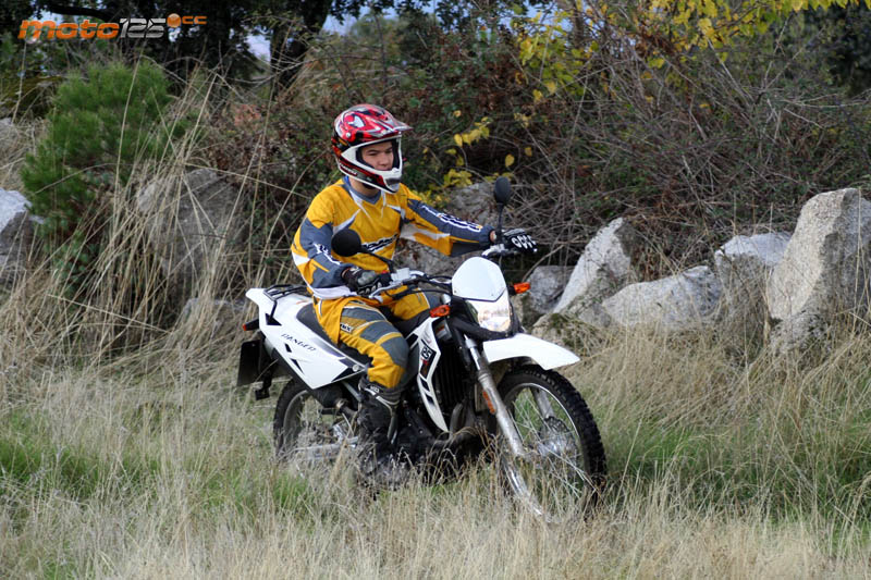 MH Ranger LC 125