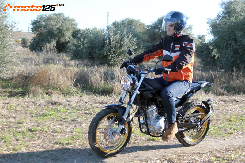 Rieju Tango Scrambler 125