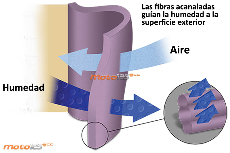 Ropa interior antifrío