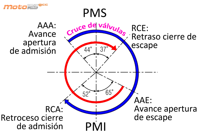 Distribución